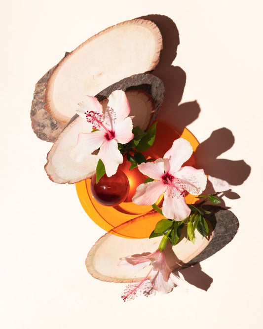 Sustainable perfume Ingredients